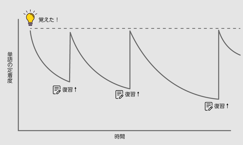 単語を忘れない仕組み